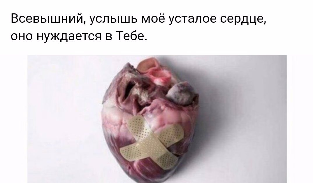 d87e12481f082361ac4706daf00d123a.jpg