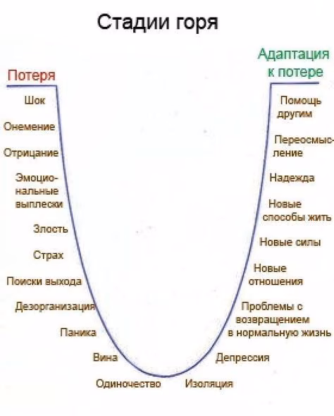 d87fb88f231da021266753e01eea6d8d.avif