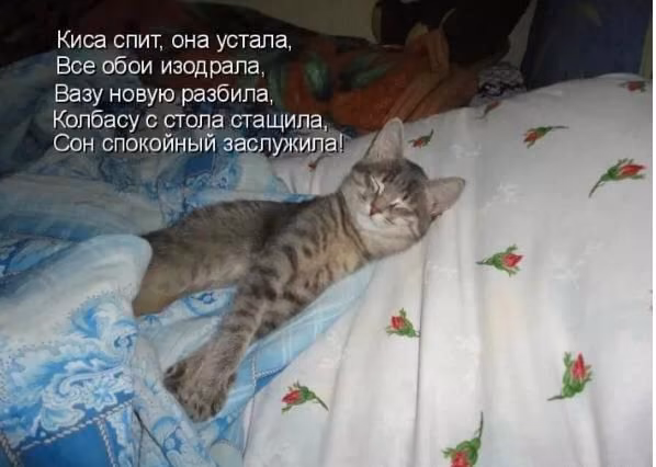 d89776b730c3f763b6028ca60fef0d63.jpg