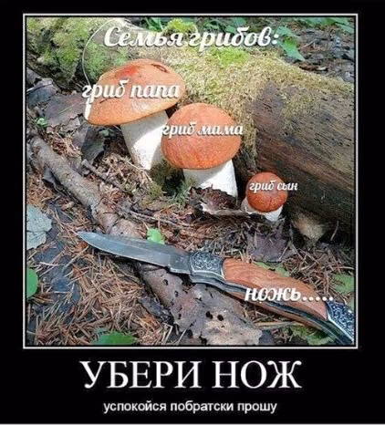 d89f1ccf258dc3ba1d7c899386c01164.avif