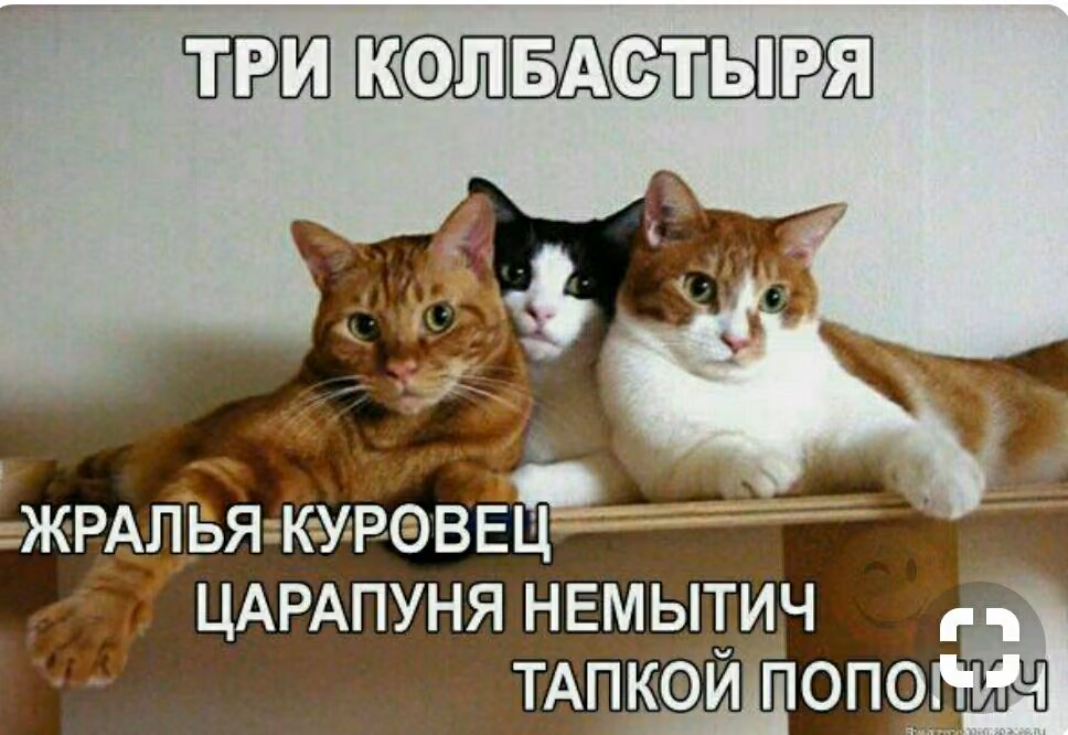 d8a5e7de6b6c946cc1d0a35979ff9758.jpg