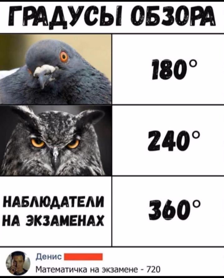 d8acb2a56e68814a4a09891fac8df45d.avif