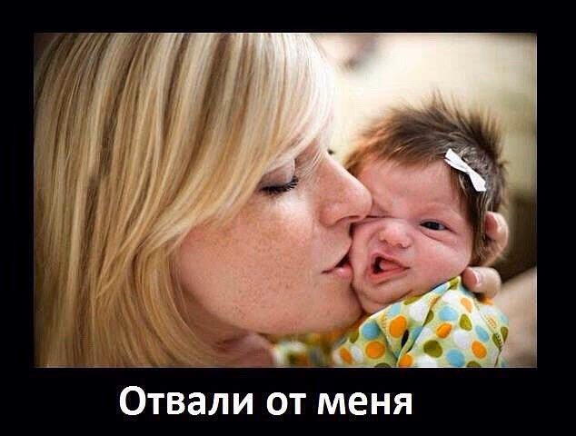 d8aed99c4918246034759044db2acea8.avif