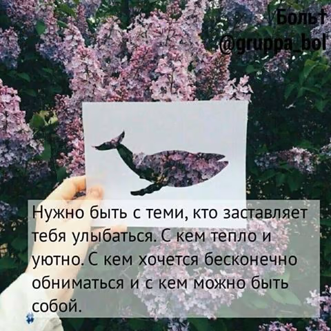 d8b467dd02b603c0a59aa3e766cdf5a9.jpg