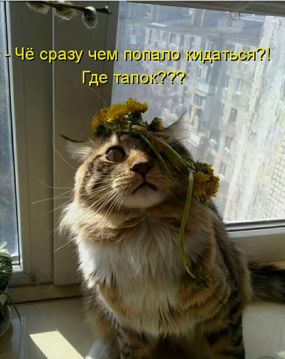 d8bb5b9db99abb5a9ac3364327e29d61.jpg