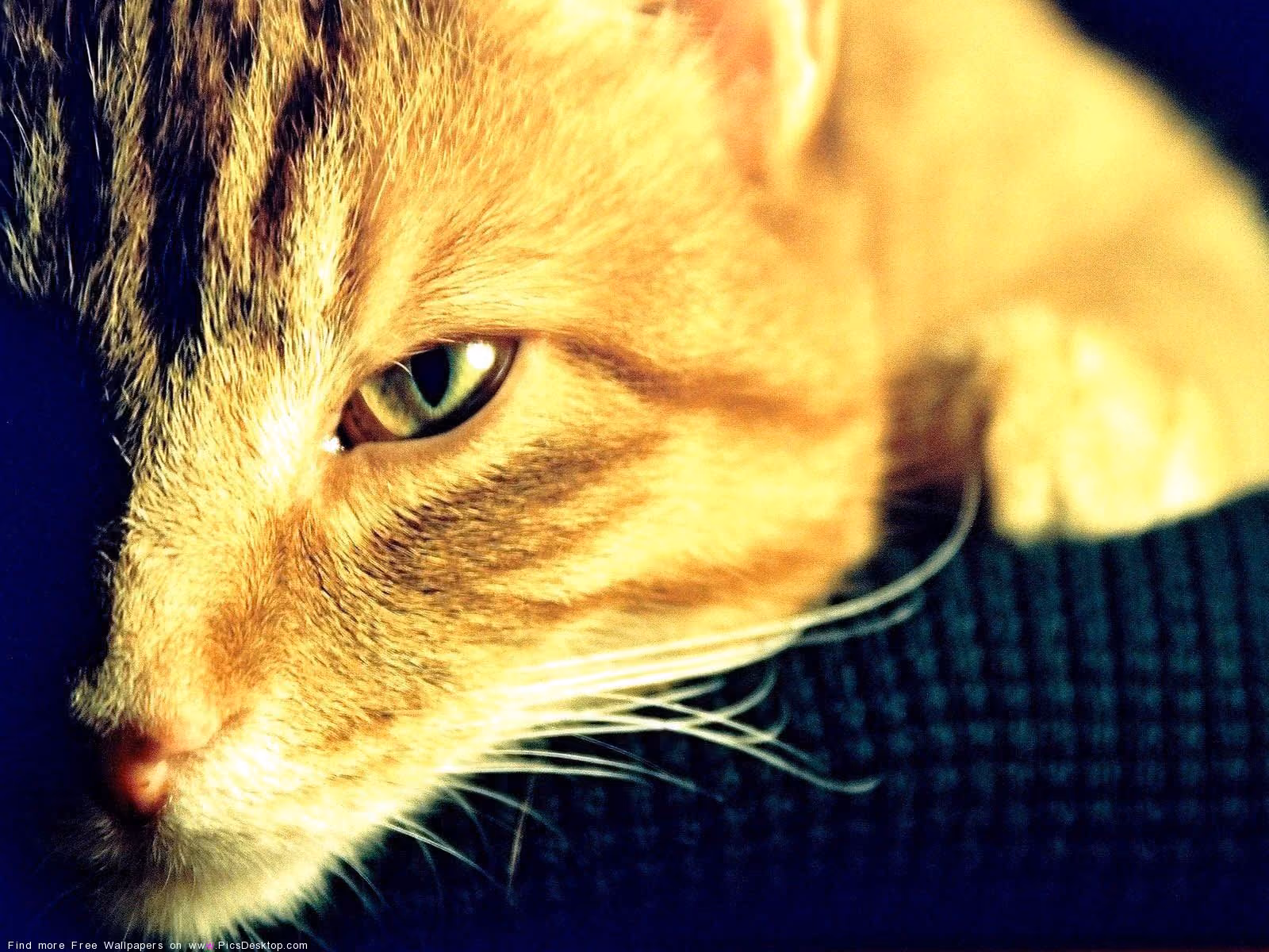 d8befff81b6f7677f4e042151abe1c98.avif