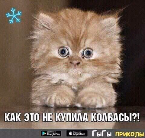 d8bfbb7baf5c9fe6f183ae18a17e7185.avif