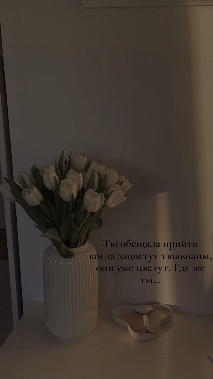d8e259fe36ea33451b278f1bfd110cda.jpg