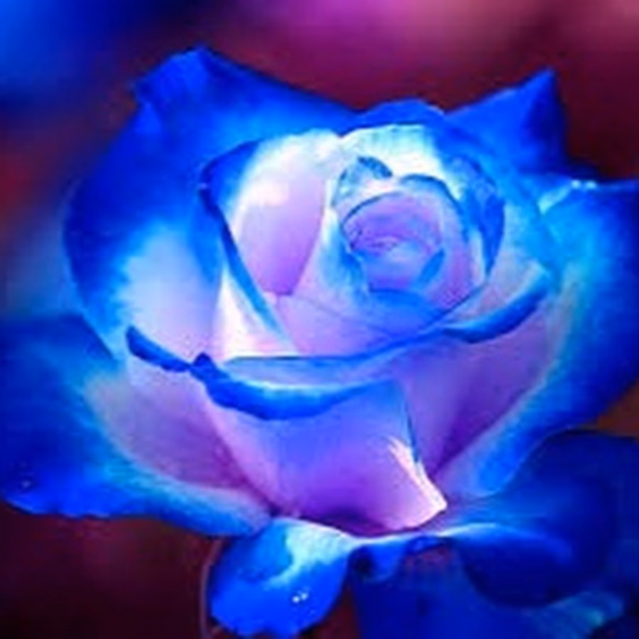 d8e5fabc104f7c43a26e938f8c7b330f.jpg