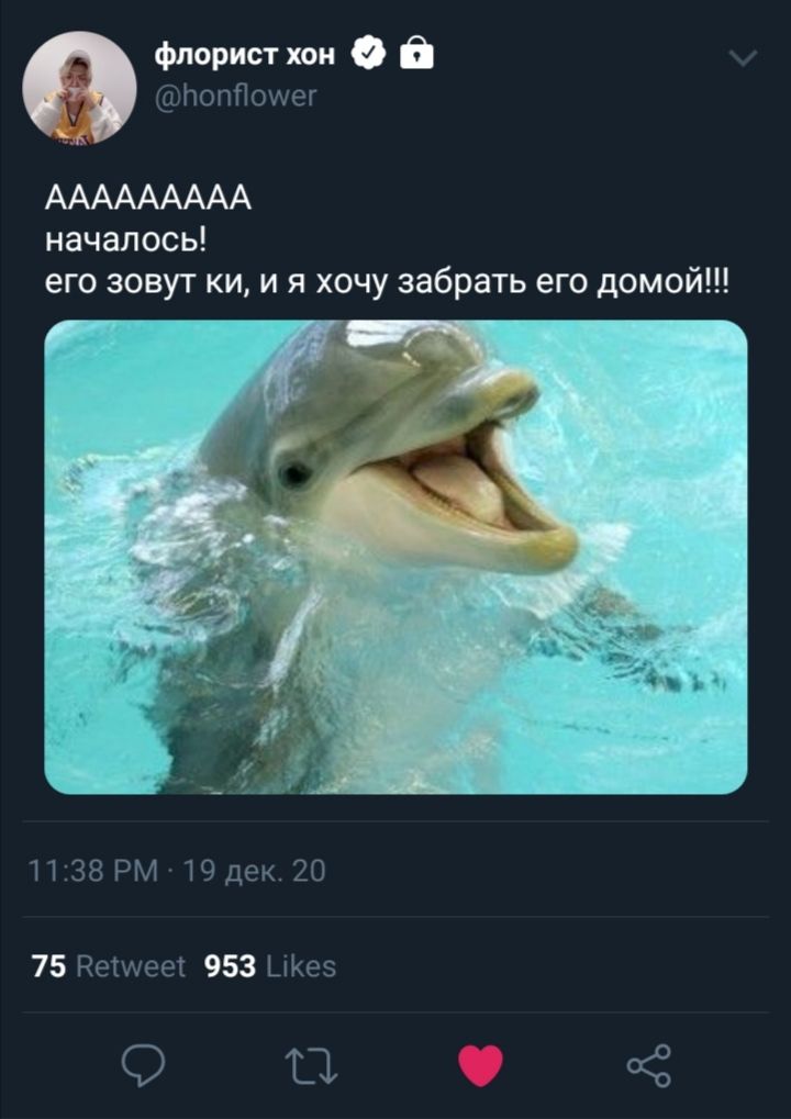 d8eae6a7dc3cc4f01cd27c68fc9f9c0c.jpg
