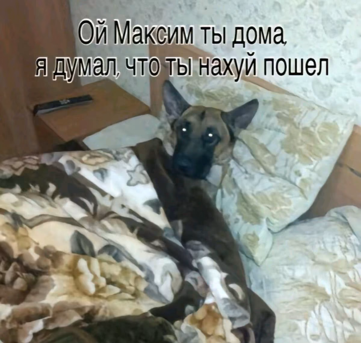 d90b3b32287f8281e5efde4021e8dda2.jpg