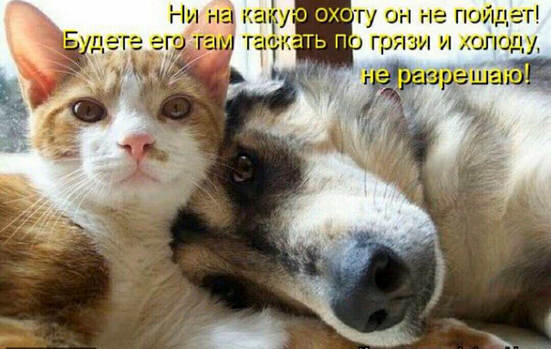 d91723738dad52d92daaeef8db0bc1c3.jpg