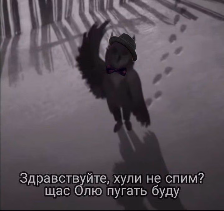 ed7bbc766290df80fb00b3e0866bb0fe.jpg