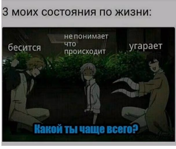 d91bbdc45b63934d33294b8b462eccf4.avif