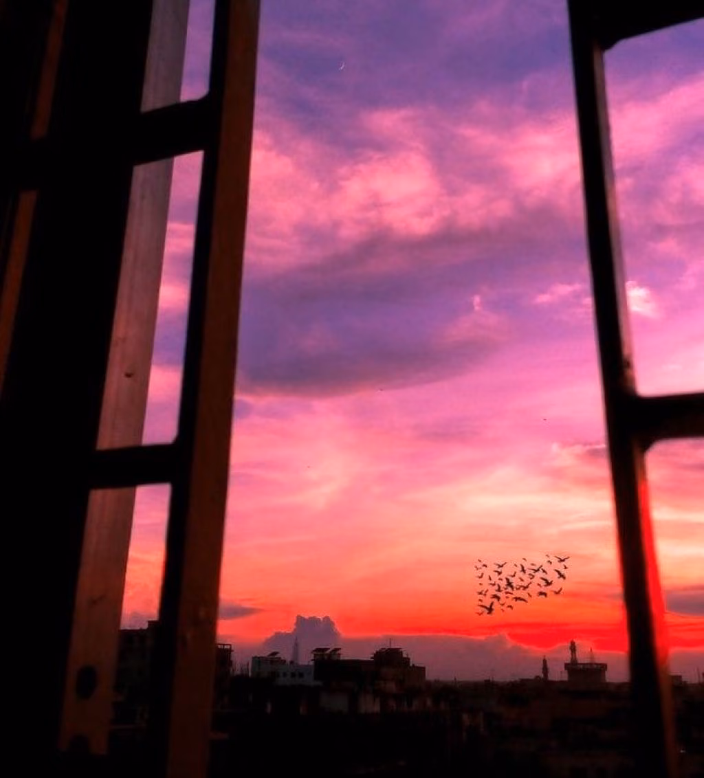 d91c13f221d43800e37f6c82e8504043.avif