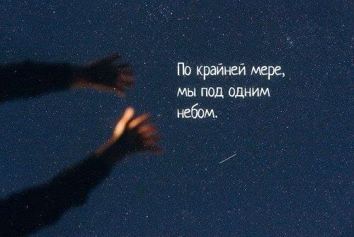 d92352cff58861a87c9e8c9802b5f6b5.jpg