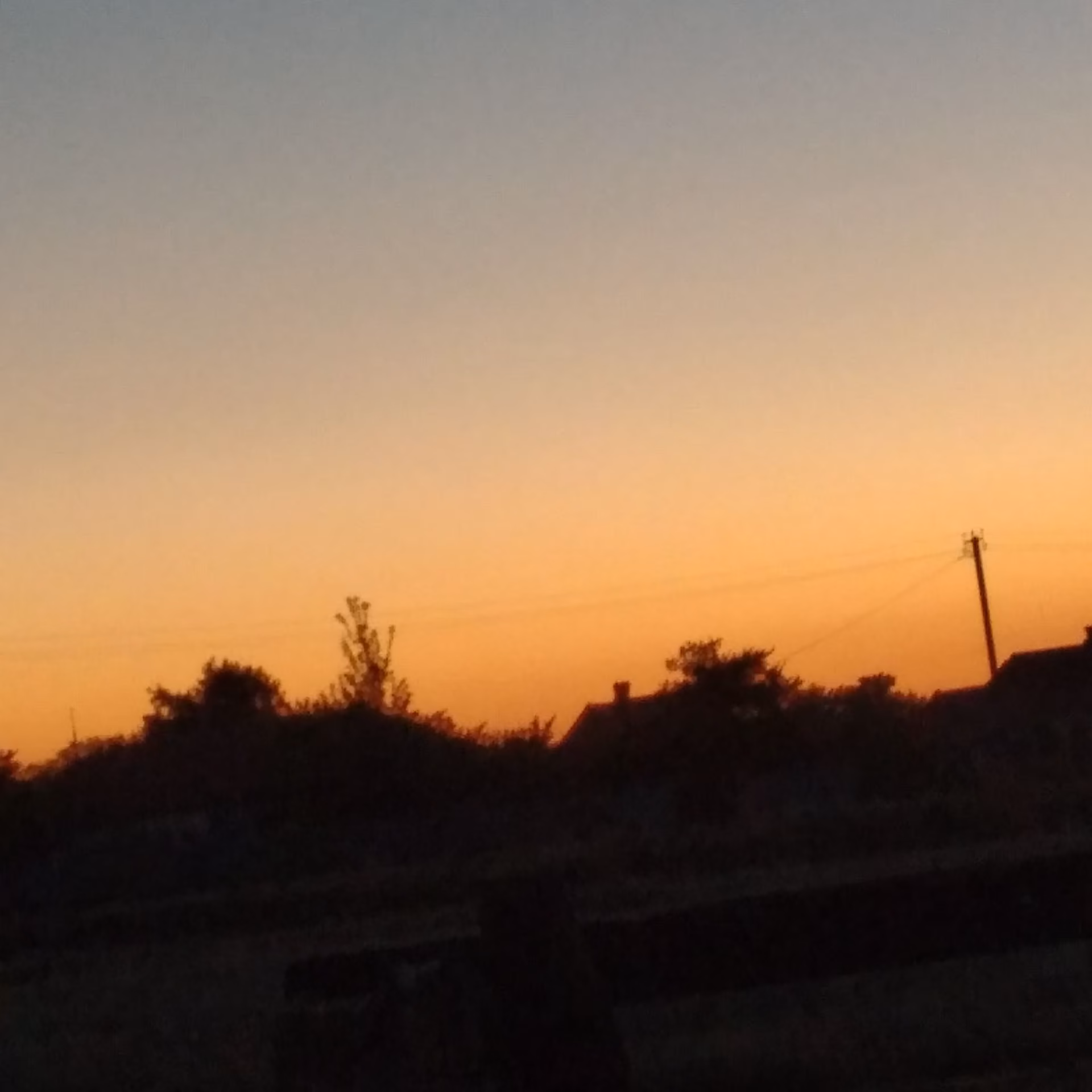 d9564ee36faa1a1b00441b78cf3804e3.jpg