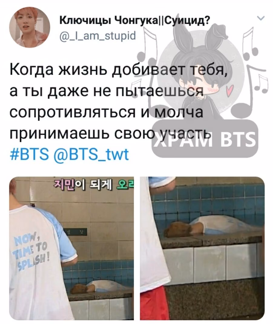 d97b3a21071ff24362803f3b89e419fa.avif