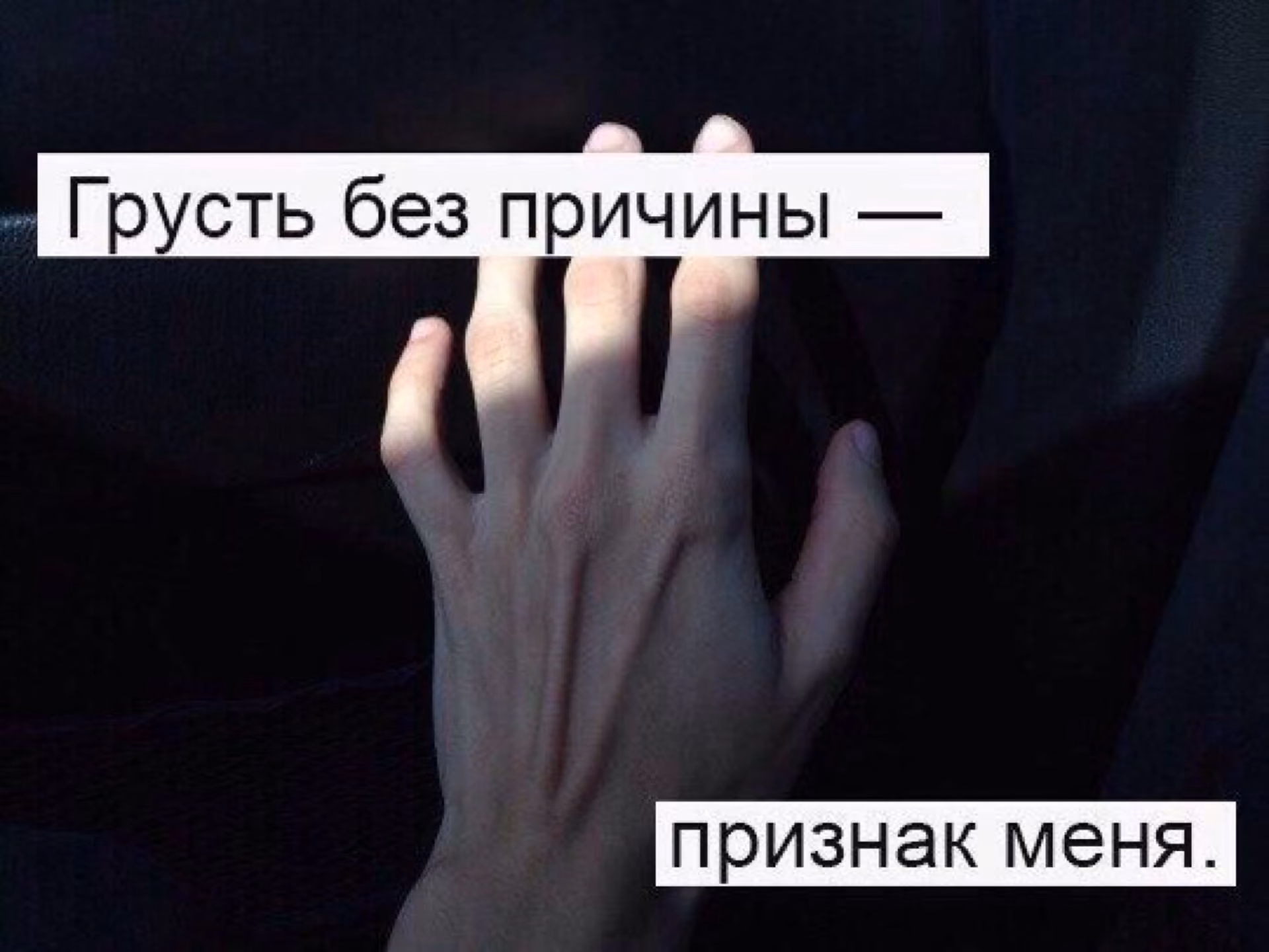 d984ace60dc62c0620838798ccf23f07.jpg