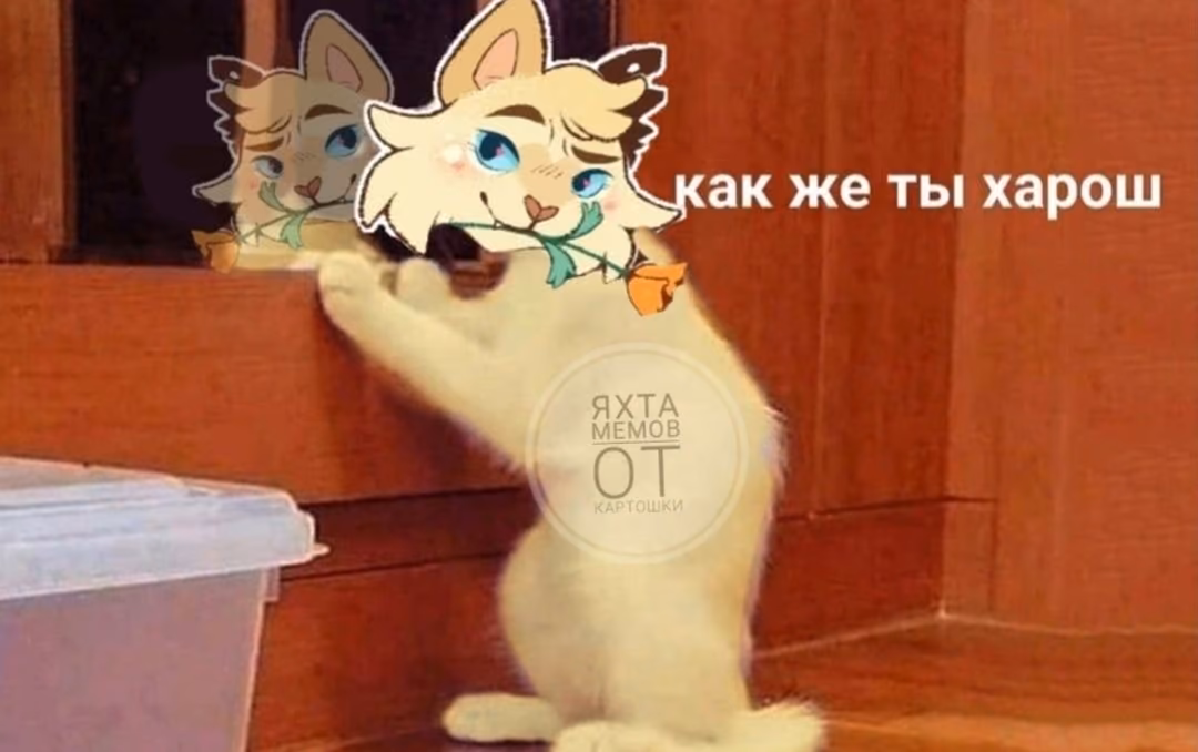 d99d8117701abfca086c7b5f64ae3069.avif