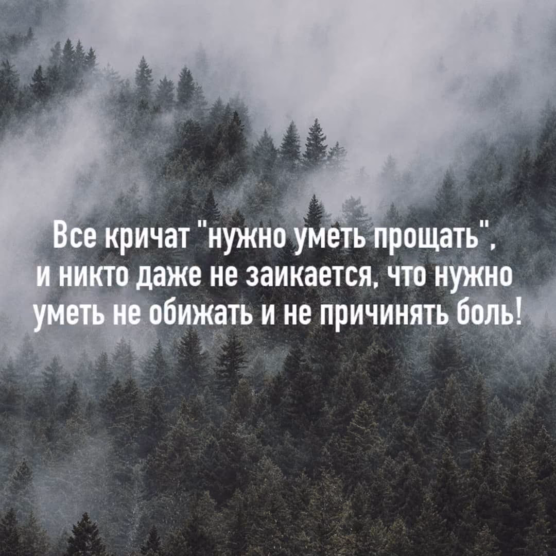 d99e2fe9df9fbc5c810082ceacd80988.avif
