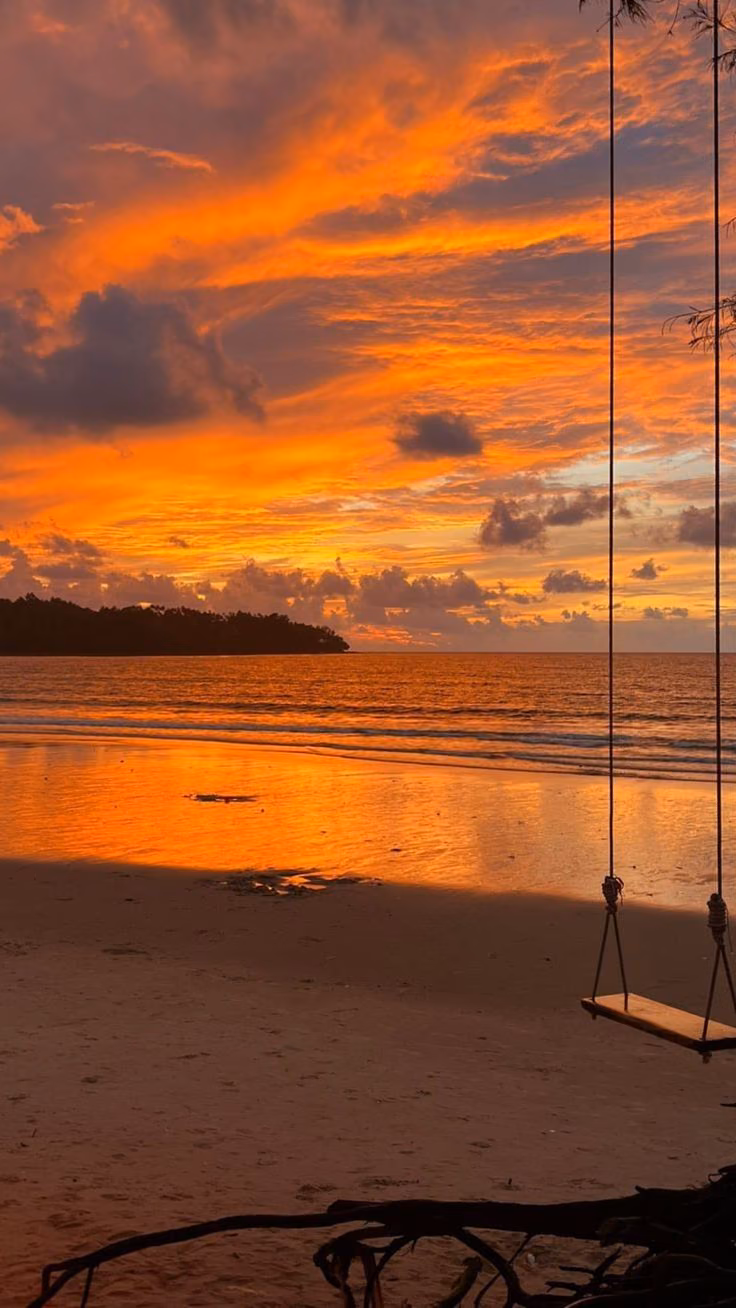 d99f2066133fc7213a98ef06b40bfade.jpg