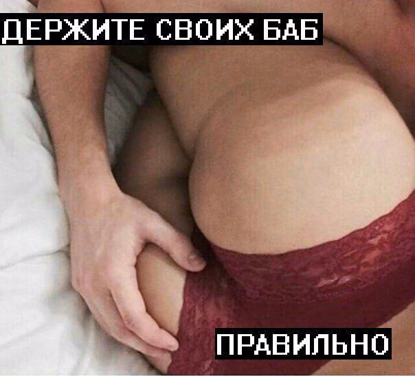 d9b901e1334f701fb3ed37b5e4d9718c.jpg