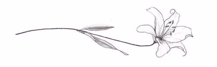 43271454fa97f68036306fdcaa2e5d87.jpg