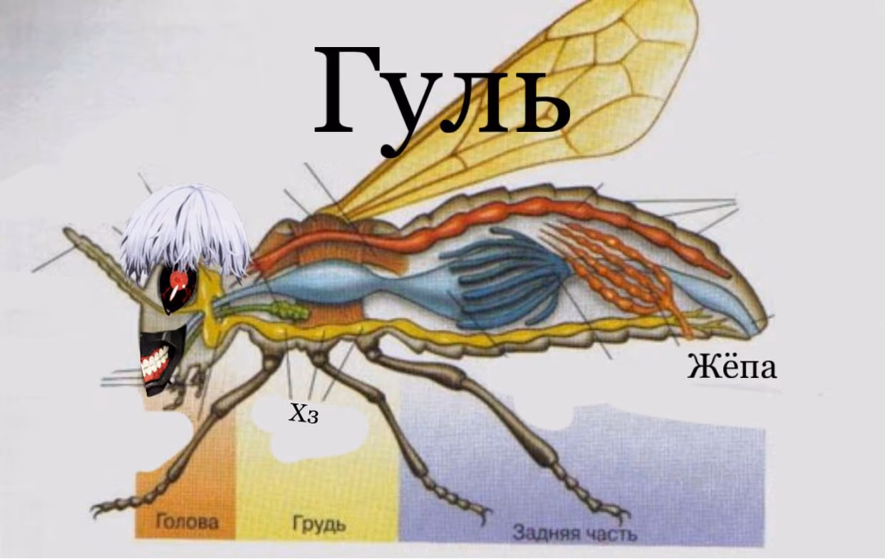 d9ef2a032f0e5ce546c7d69106ee9697.avif