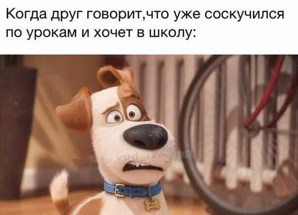 da13a8c1e03eb5951207b580645fb342.jpg
