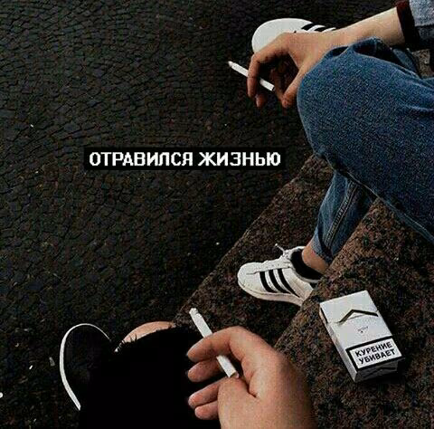 da3e6c797811b8dc71ac96da1cc98d94.jpg