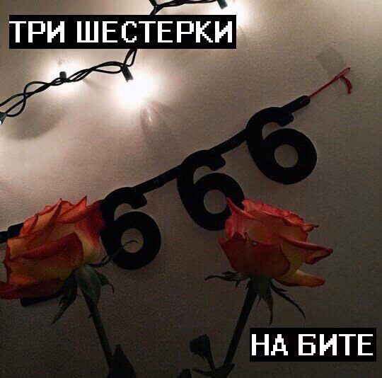 da43712a6e09e6d0452a8885cc4d53d7.jpg
