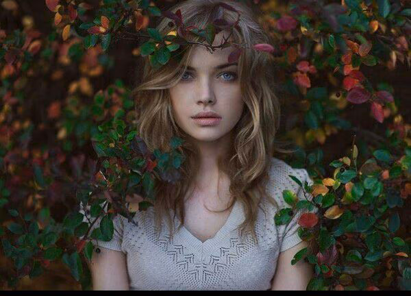 da6b77cd3ac8b5db868834bb3cefc7e4.avif