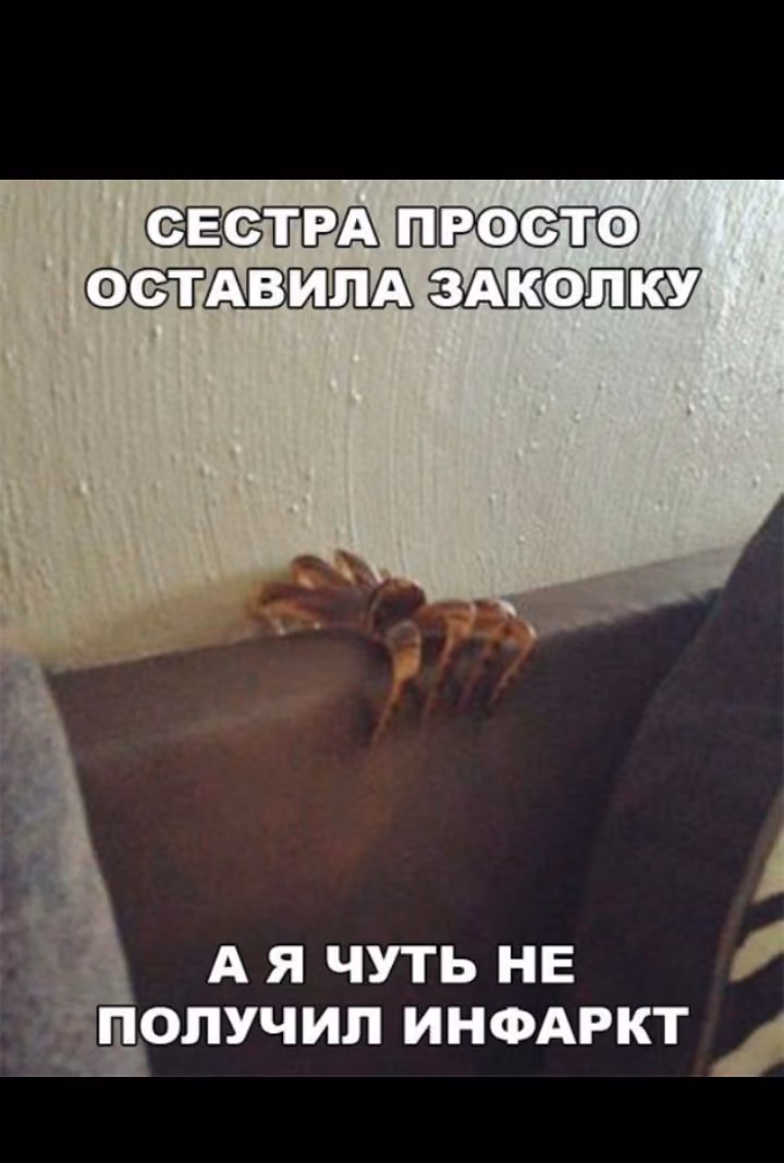 da77cb041b334a2d1eef0e9c1f04cea7.jpg