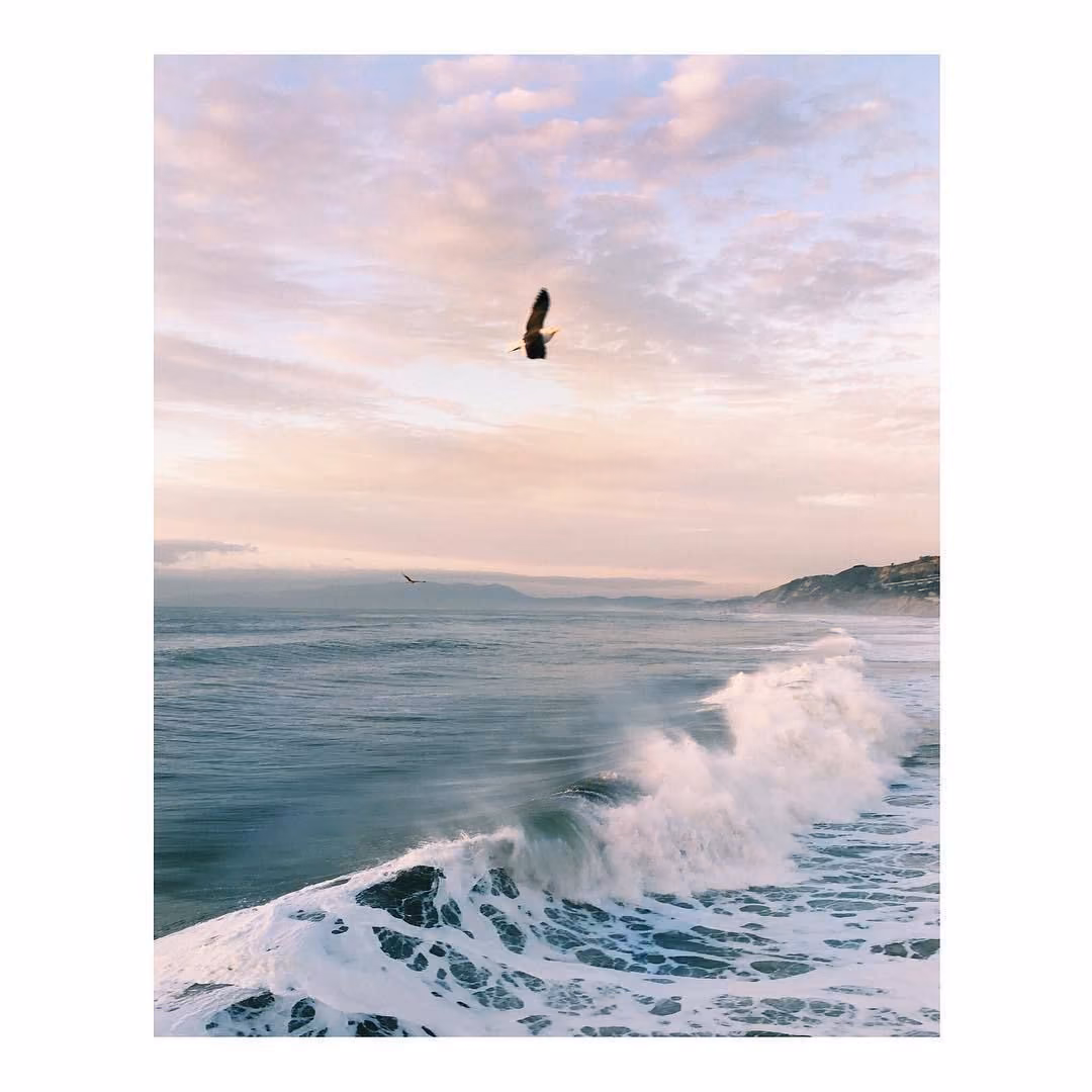 dab7f5cac967a5a4a4253506de75433b.avif