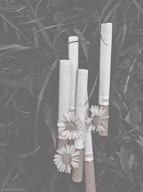 dabb4e5525df2c9766e6017863448b55.jpg