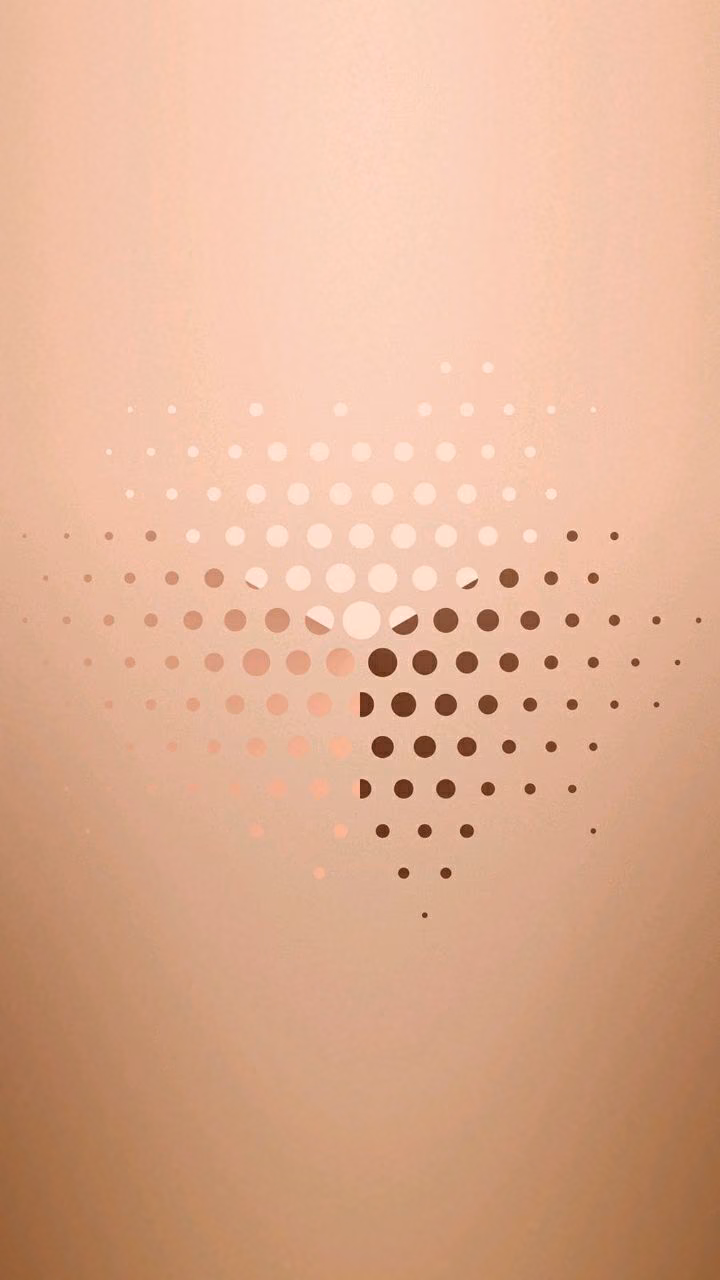 dacb9e5e8e01a2f2dff577853542ed9a.avif