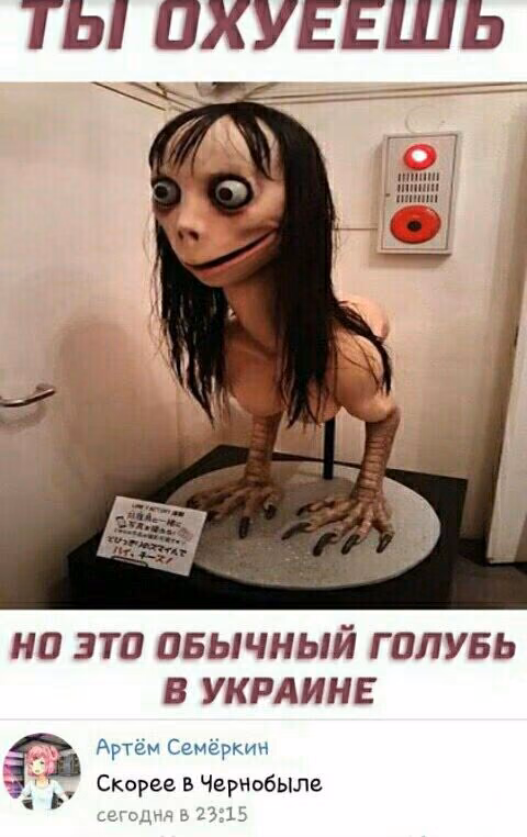 dad4912bdcdb2cb18a64940d0aa3a9e4.jpg