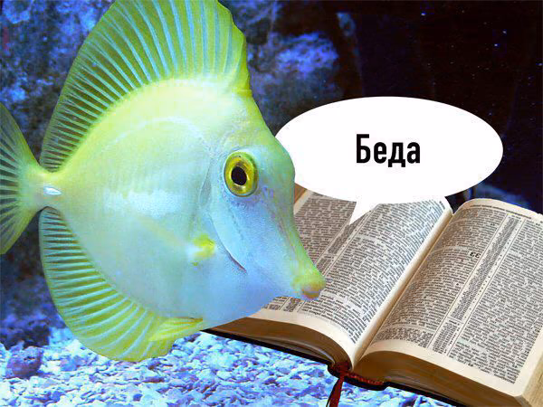 dadae459d35fbc46c0532a3e23c19e87.avif