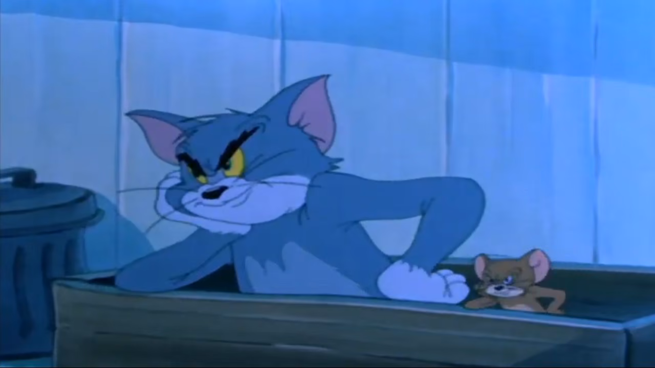 dafbda3eed930203dbe75e7a5c1e73c6.jpg