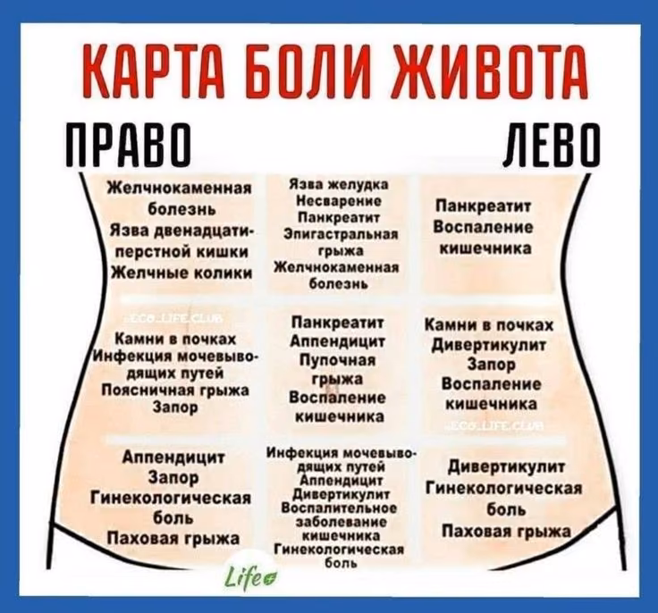 dafdc0c5a44972d7f71b29c8fe44a5d0.avif