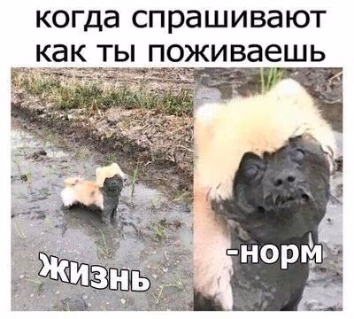 db041736285915cbc4368c0317618b85.avif