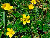 db0abf88449c3ca1781bc3fa68c2b486.avif