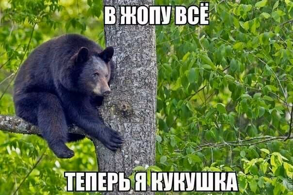 db0bada13e25932acc627d58fb49d76b.avif