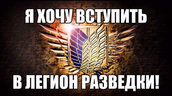 db1aadb9ebdf89f2b8ee352cc8be4982.avif