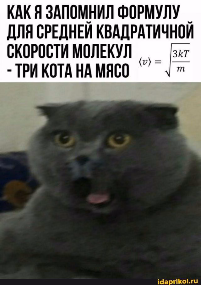 e5387efd8e00414ddbbec4e950e8e73a.jpg