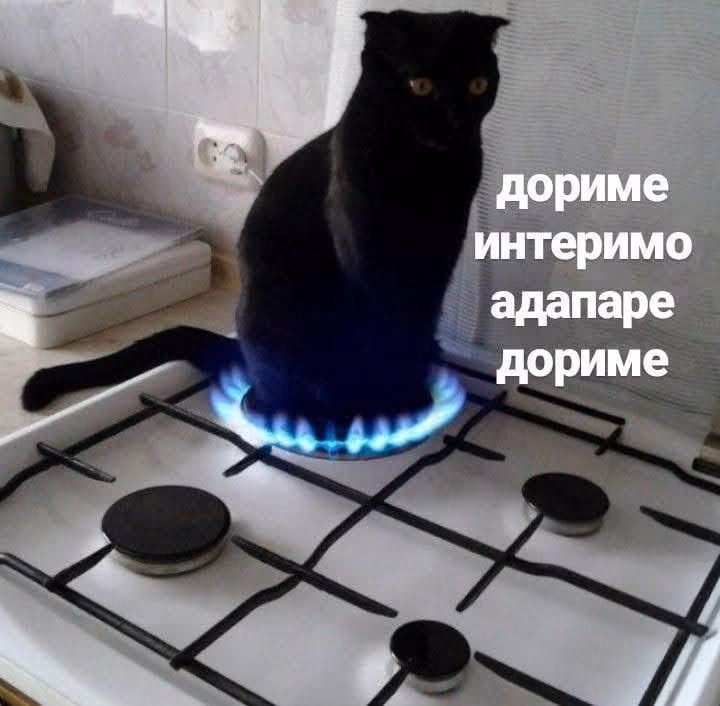 db287996d73d61ee518426f6be48b37d.jpg