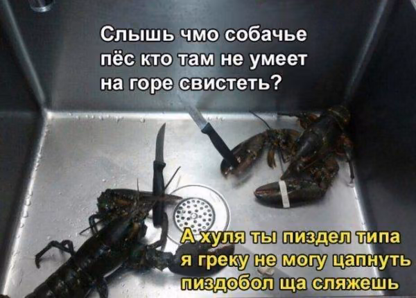 db2c2984f788cb0fe8b3bf1bea7906fd.avif