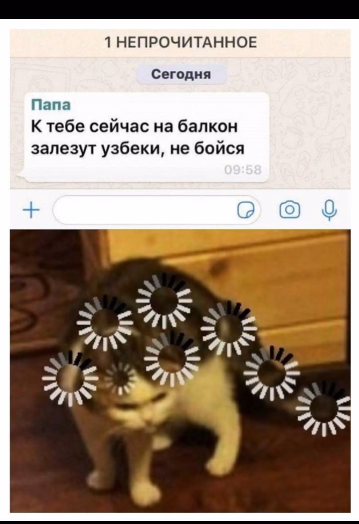 db2f49f5b6cb72f3b04d8435086c0404.jpg