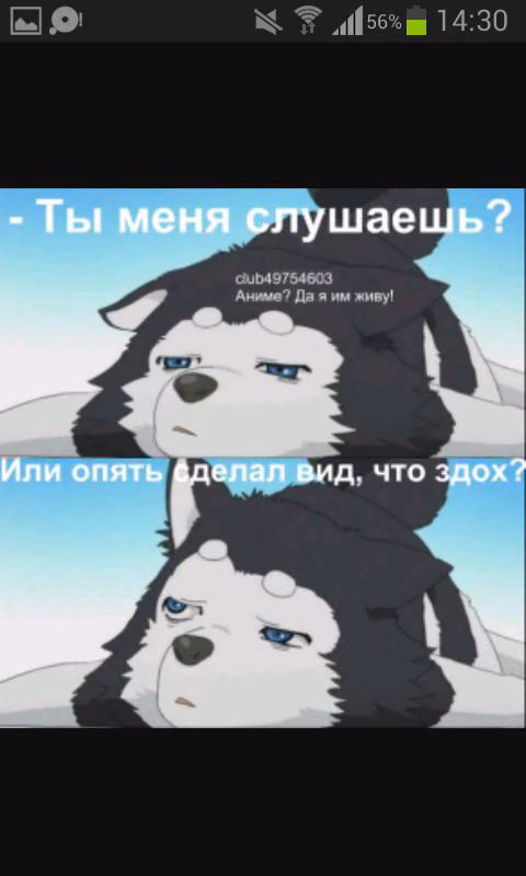 db3eeed1ad67103f3e8db1c7cd270e8e.jpg